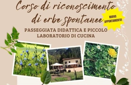 Corso di riconoscimento erbe spontanee
