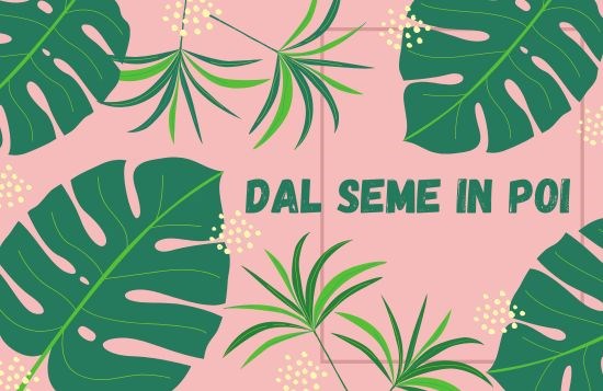 DAL SEME IN POI 